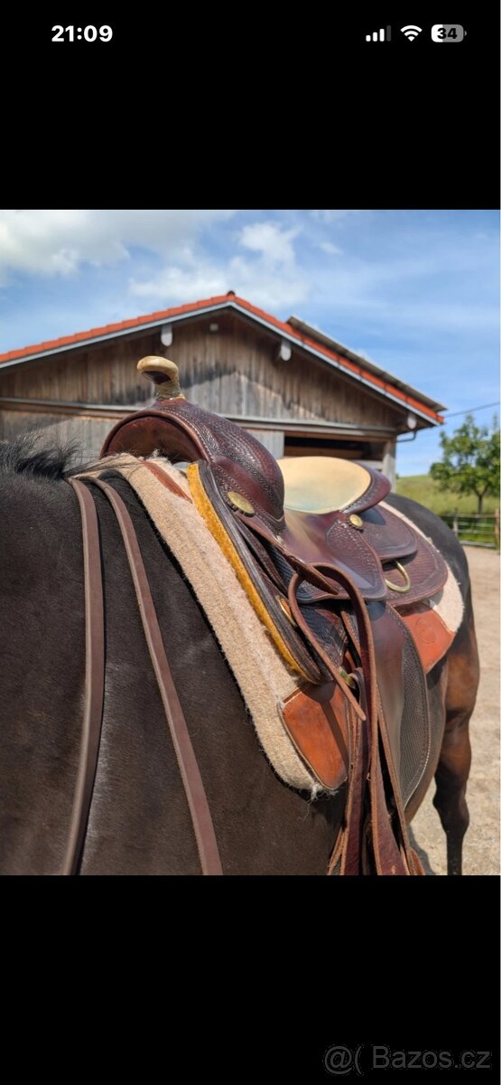 Reining sedlo DD - 2