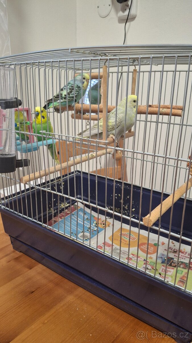Andulky 3x s klecí - 2