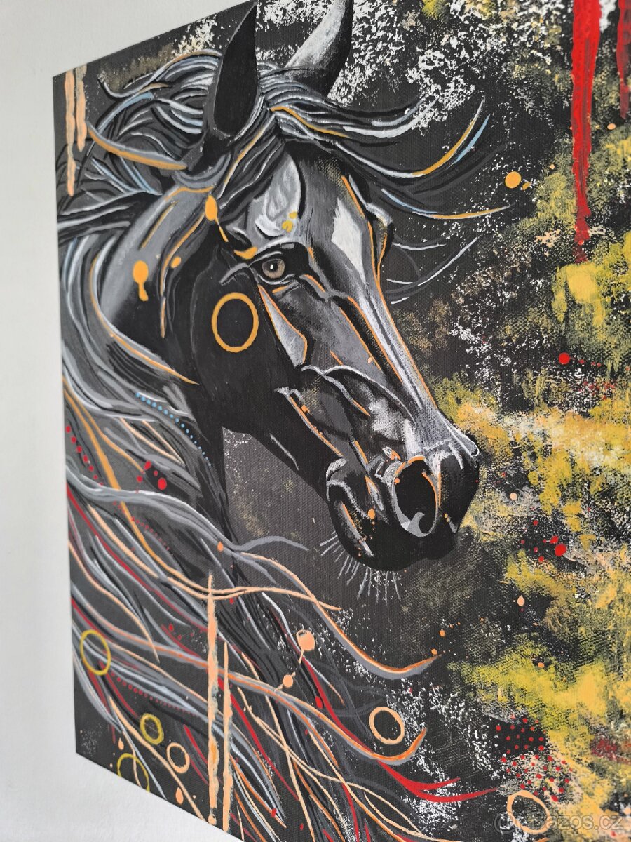 Originální obraz koně - 2