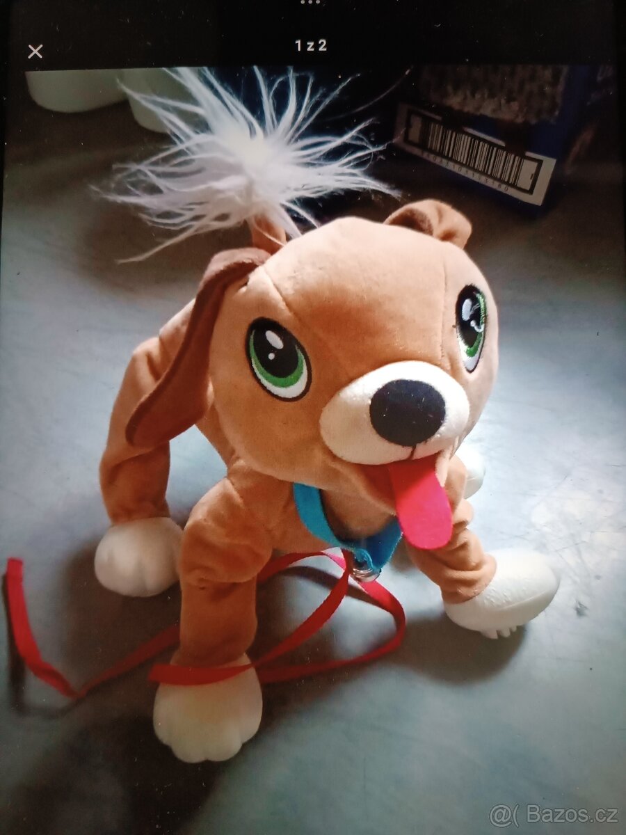 Pejsek floppy - 2