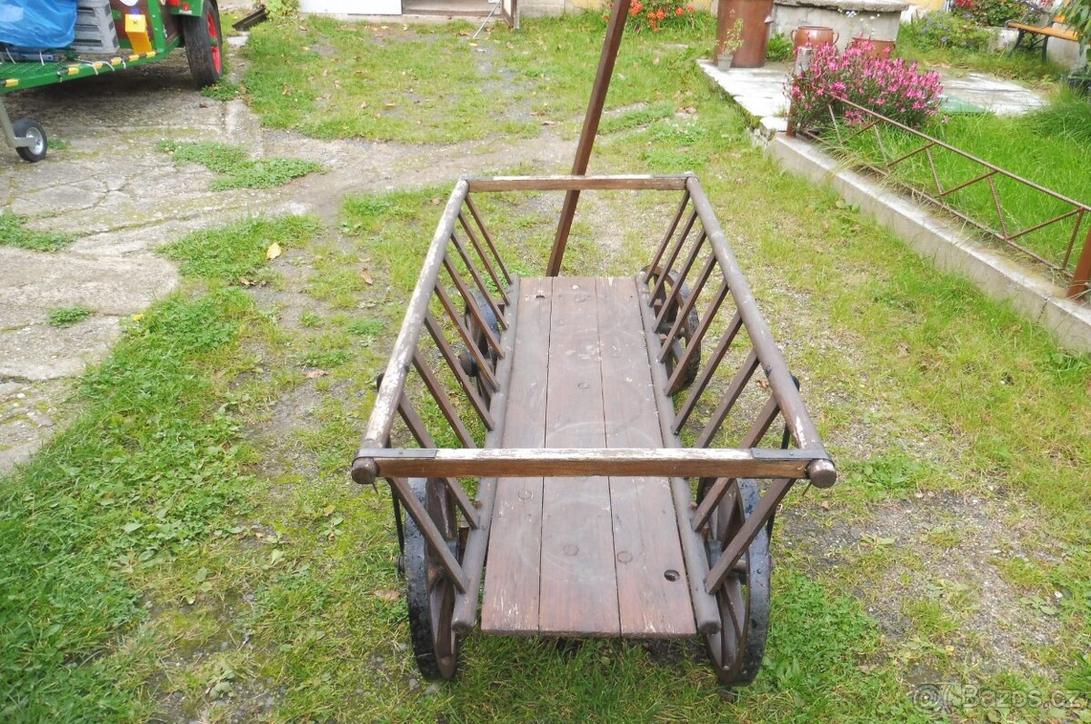 Starý žebřináček - 2