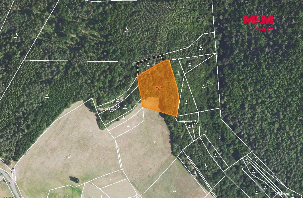 Prodej louky, 6426 m², Nezabudice - 2