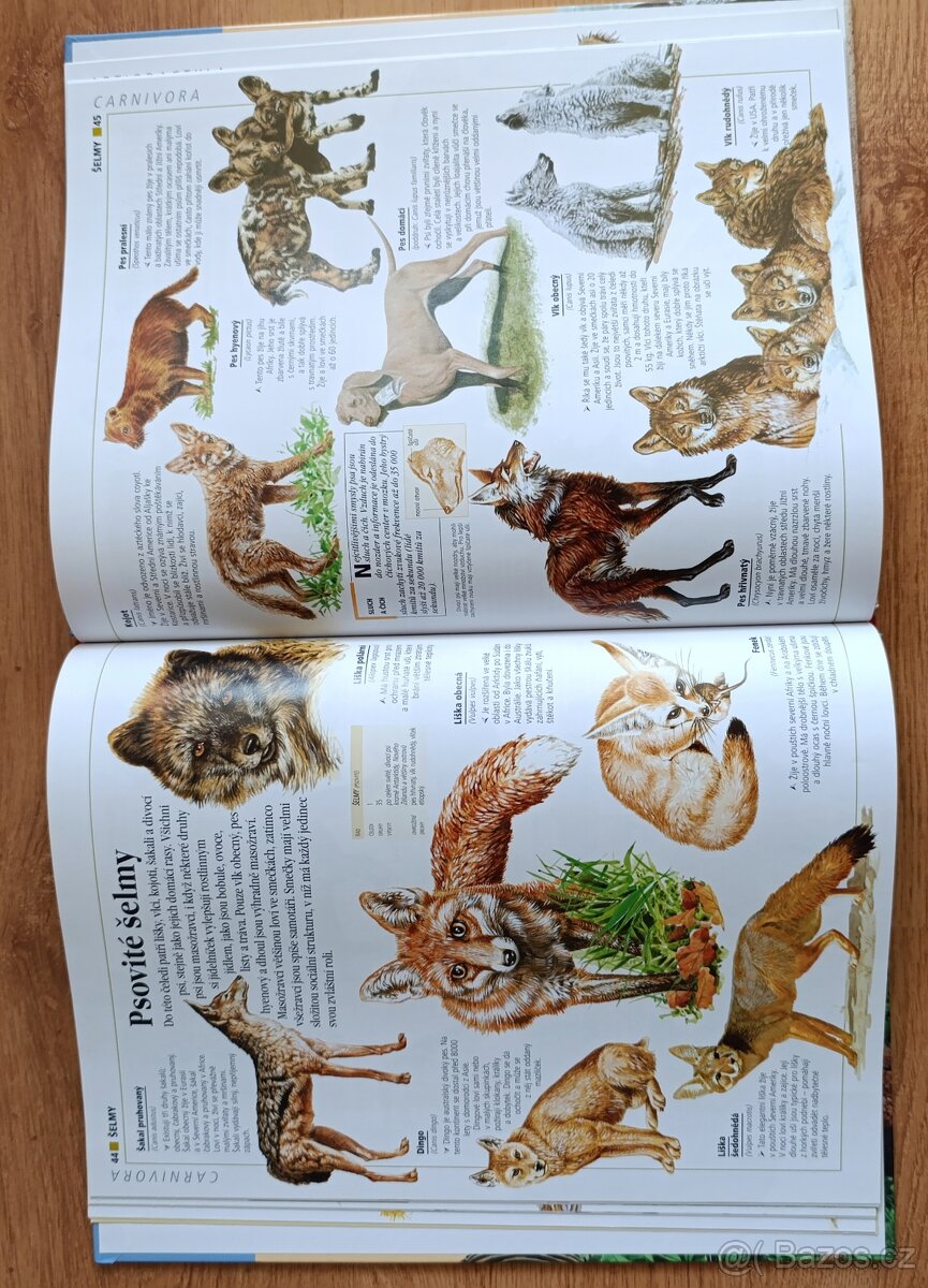 Kniha - encyklopedie zvířata - 2