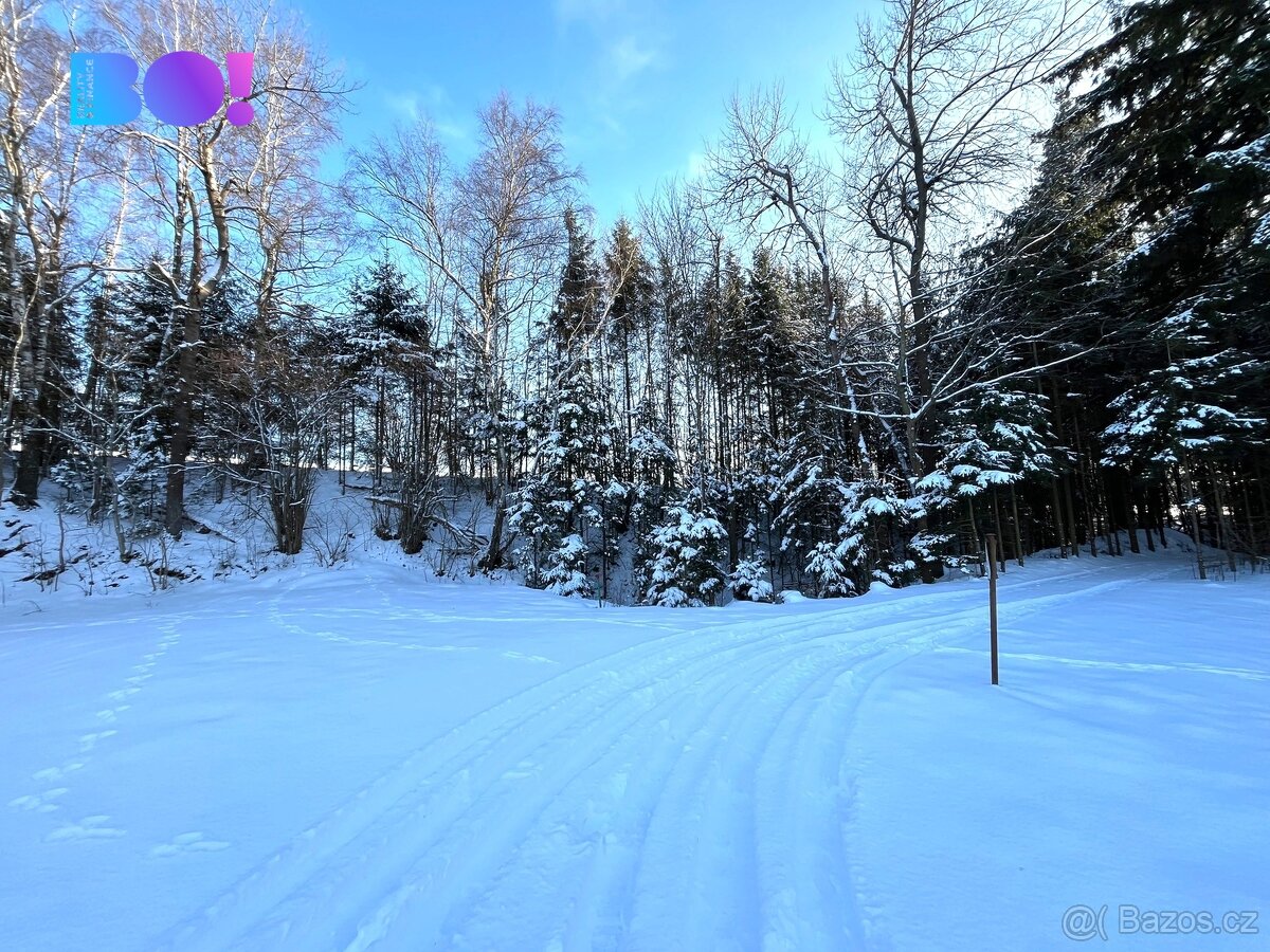 Prodej lesa, 43 856 m², Stržanov - 2