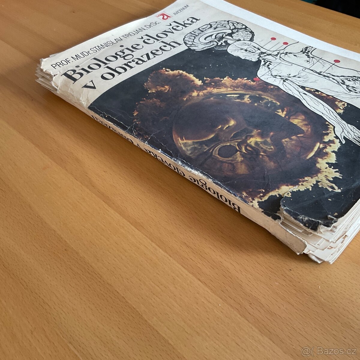 Retro- Biologie člověka v obrazech- A4 - 2