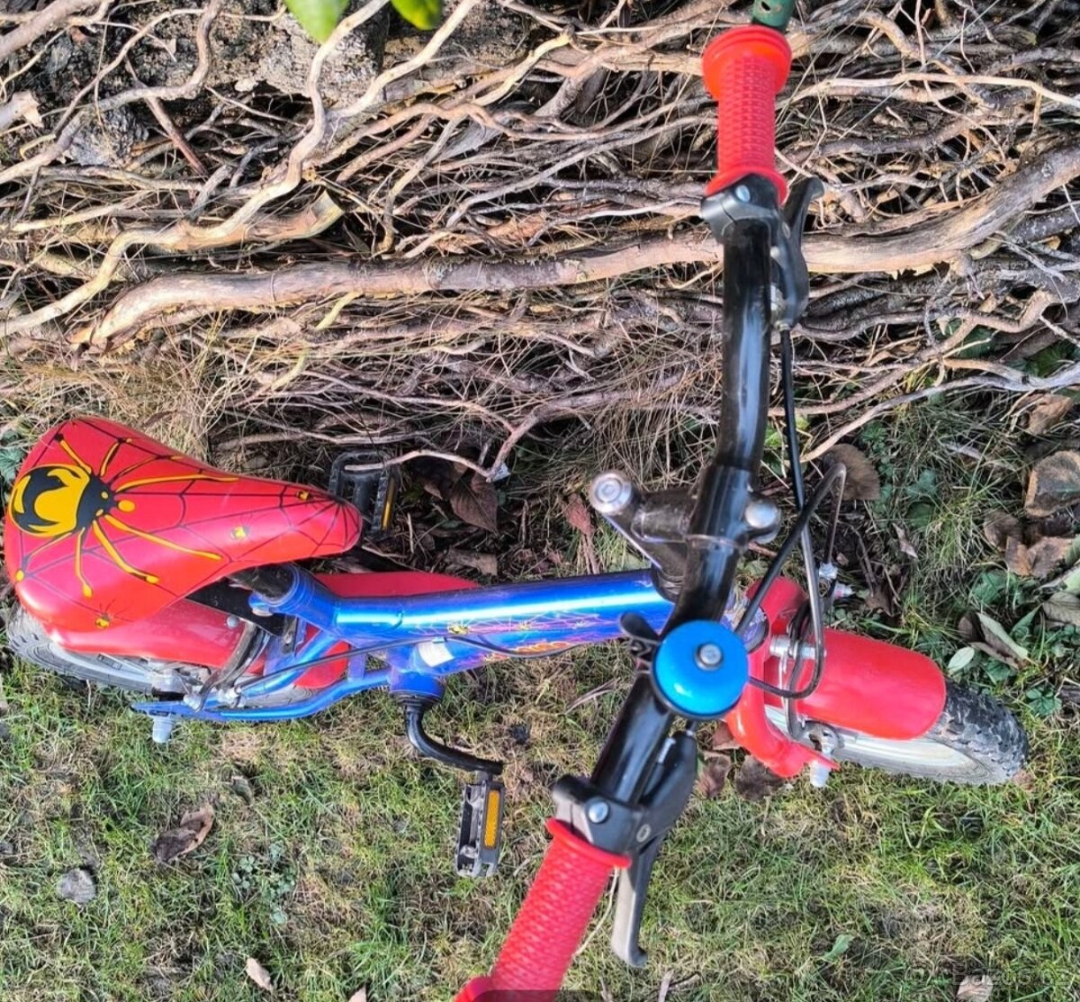 GMT Dětské jízdní kolo Spider 12 - 2