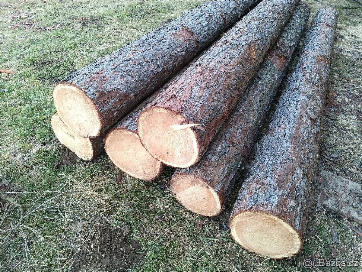 Modřínové fošny - 2