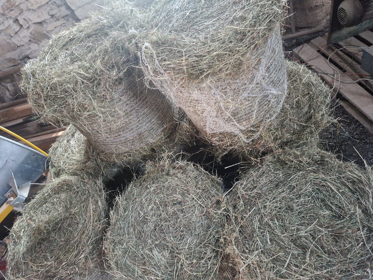 Malé balíky - seno - 2