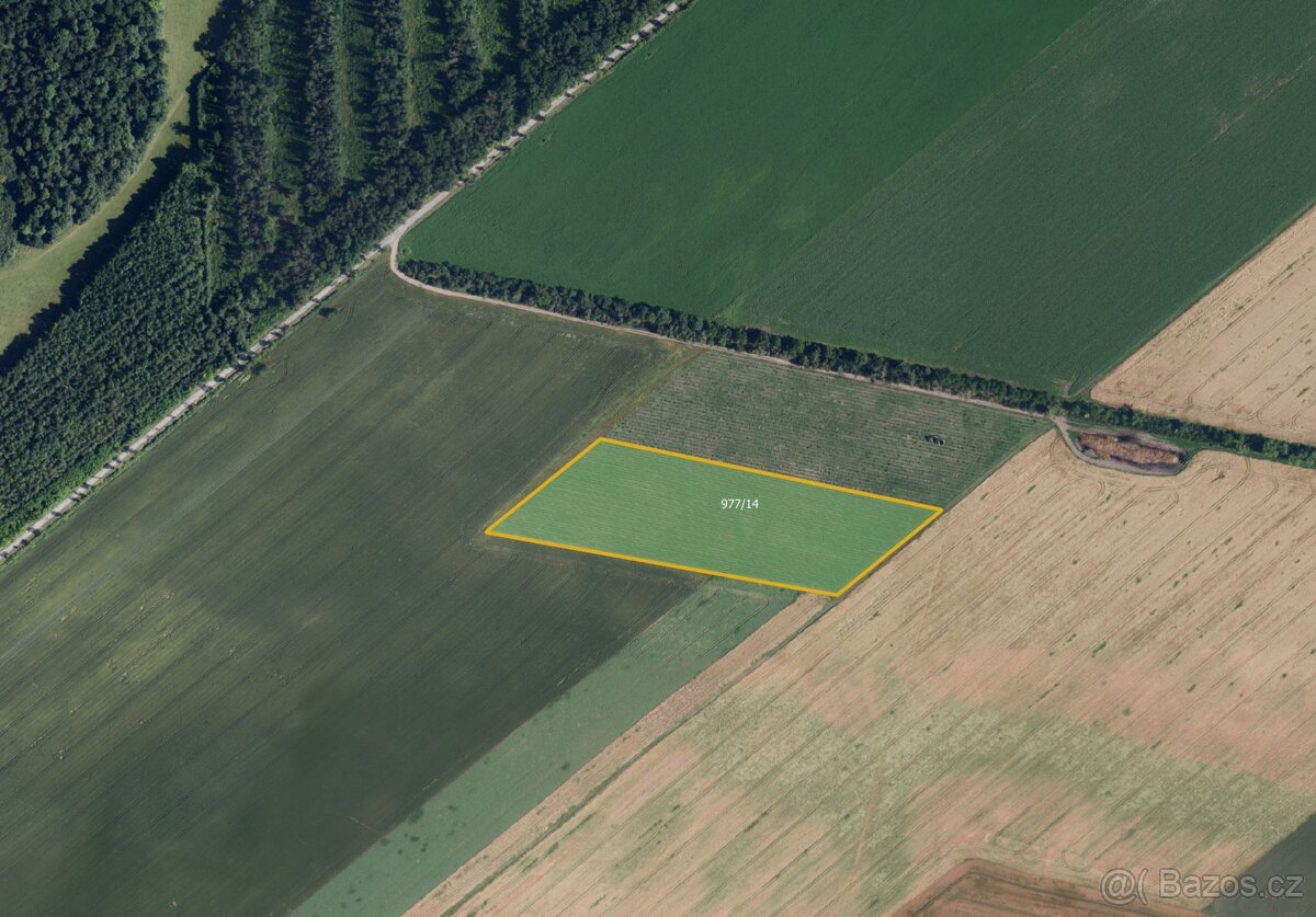 Sady, vinice, prodej, Bulhary, Břeclav - 2