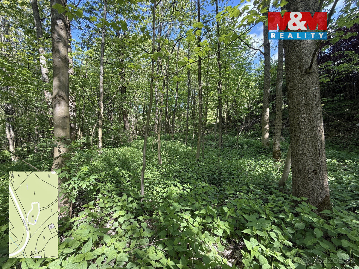 Prodej pozemku, 424 m², Červená Voda - 2