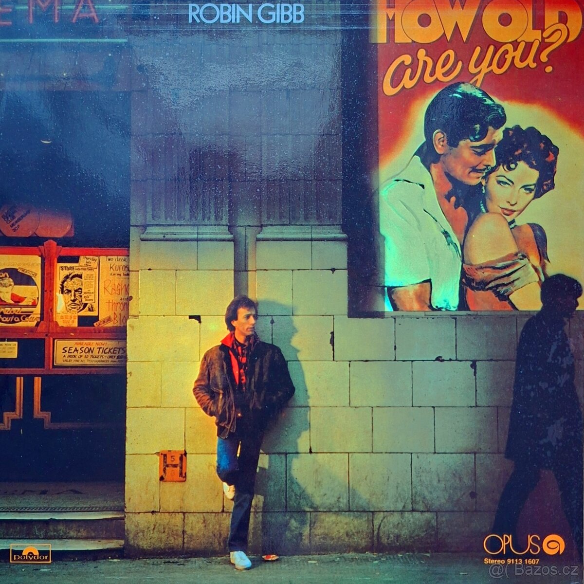 Vinyl - LP desky (rock, pop) - 2