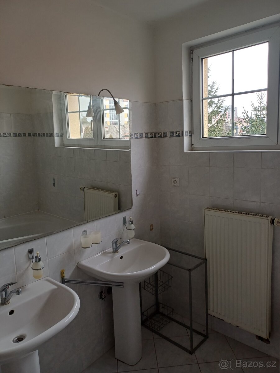 Zařizování předměty do koupelny - 2