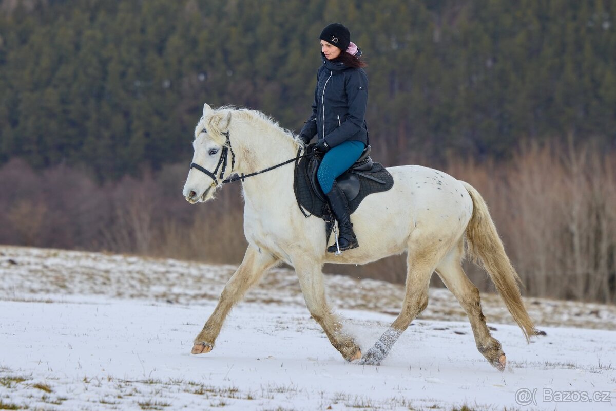 Pony valach na prodej - 2