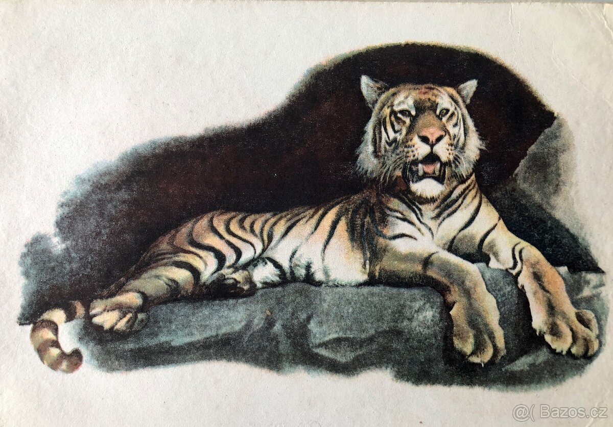 ZOO - lepolero - 2