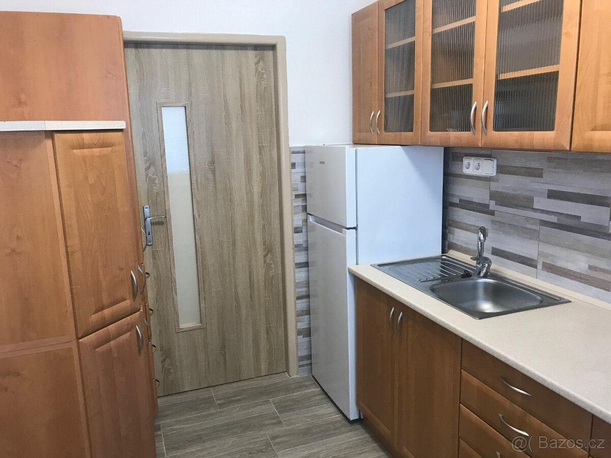 Pronájem bytu 1+1, 42 m² v Mor. Budějovicích, Myslbekova - 2