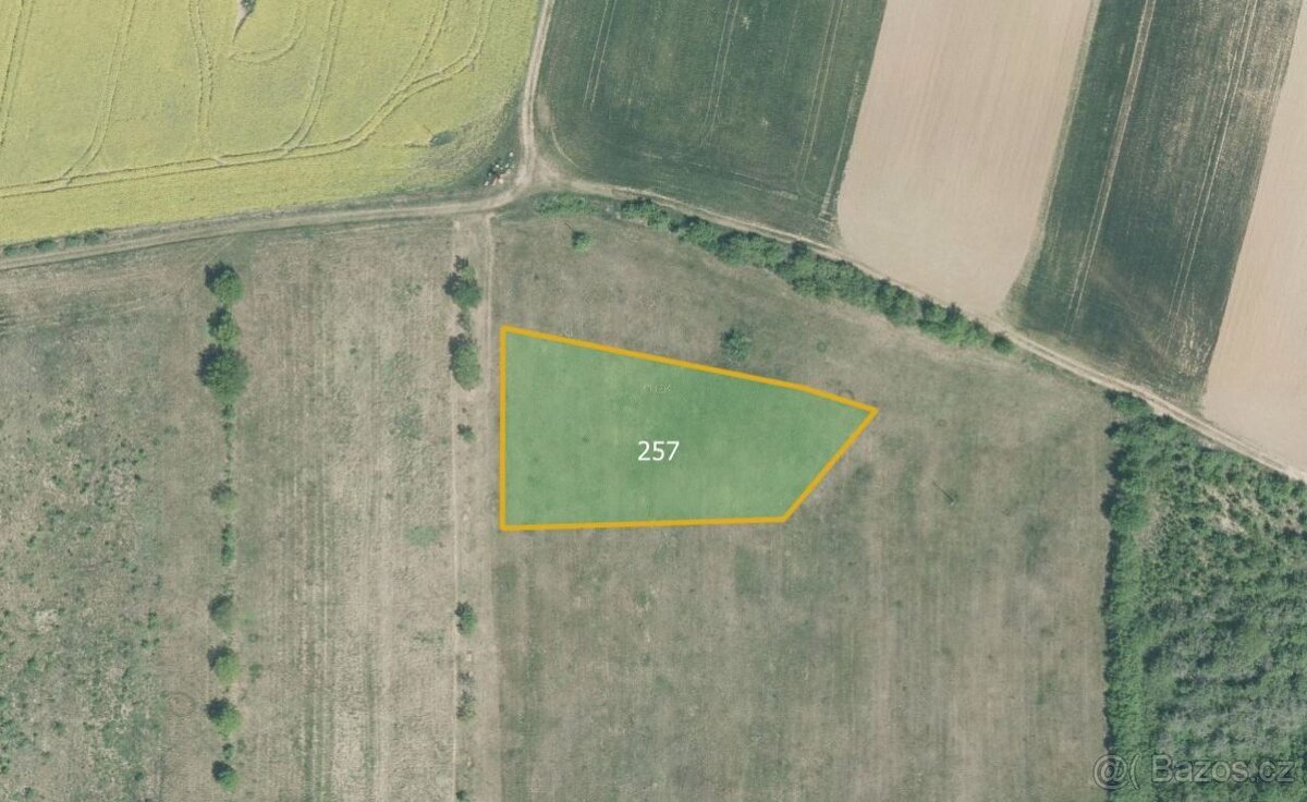 Sady, vinice, prodej, Zdislavice, Troubky-Zdislavice, Kroměř - 2