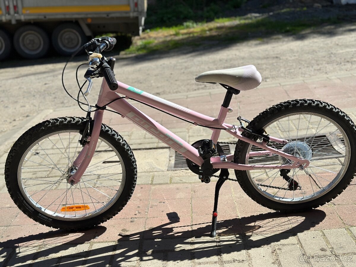 Arcore Christie 20” - 2