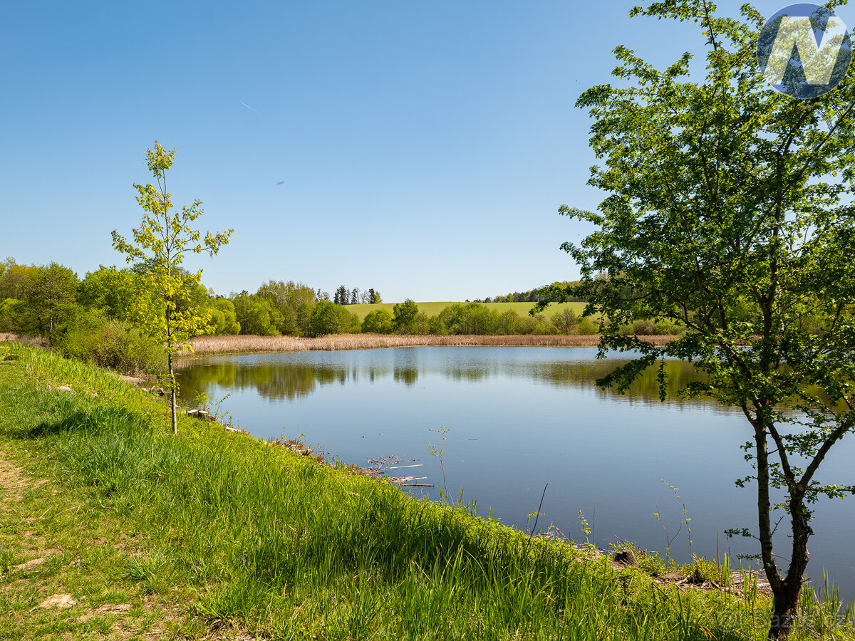 Prodej pozemku u rybníka, 2.512 m2, Olešník - 2