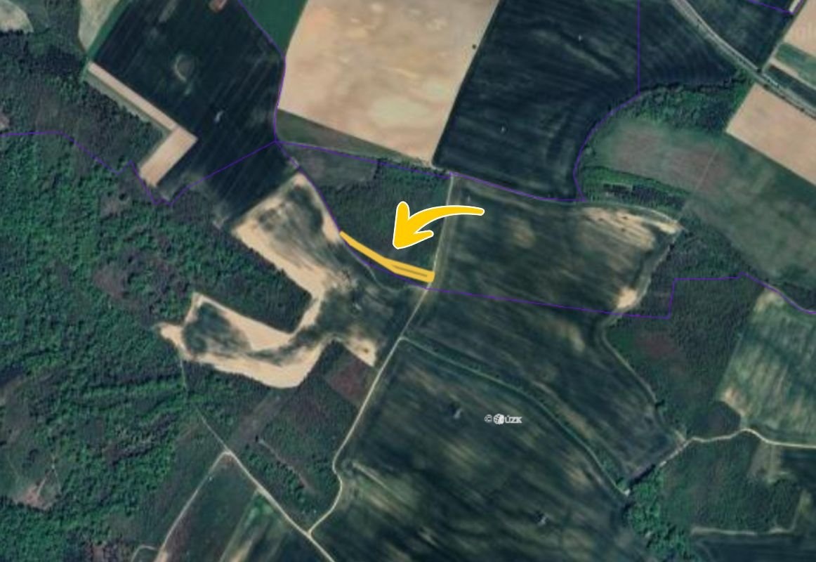 Prodej lesu v k.ú. Moravský Krumlov, ev.č. 2025-10-31-115827 - 2