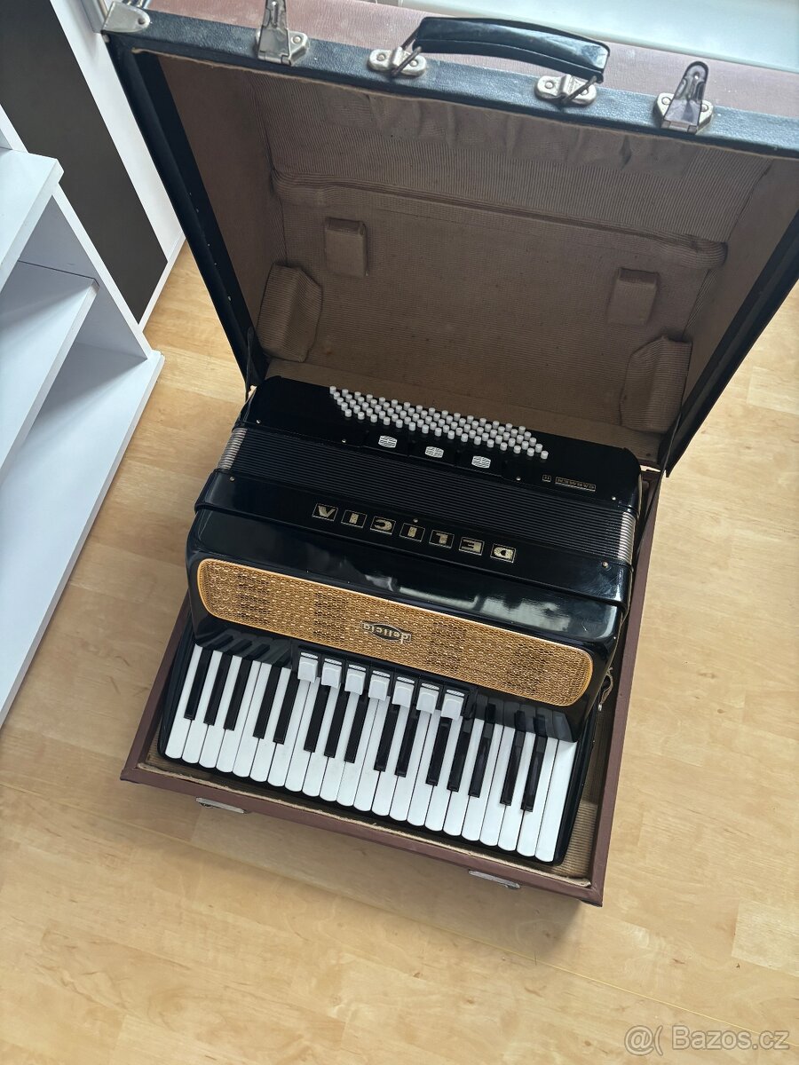 Akordeon delicia carmen iii - 2