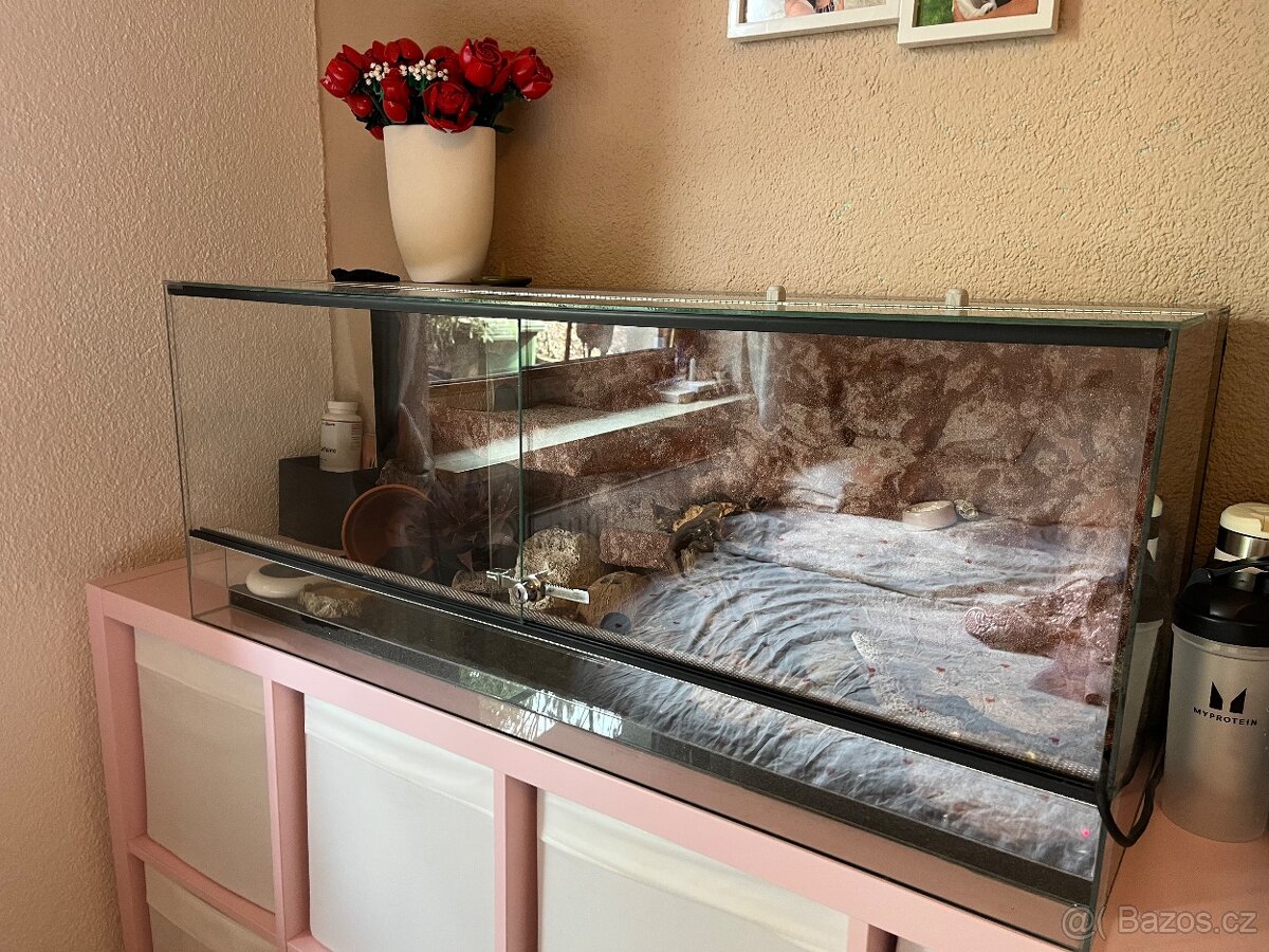 Terarium s gekoncikem - 2