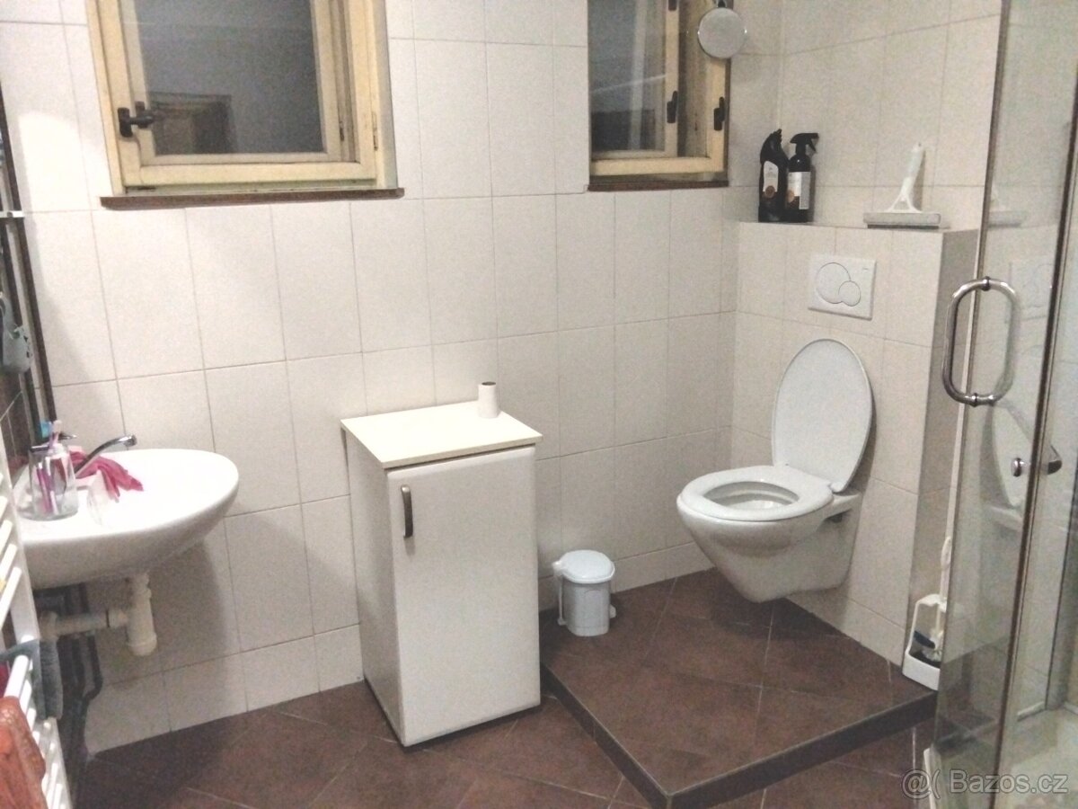 Pronájmu byt v rodinném domě - 2