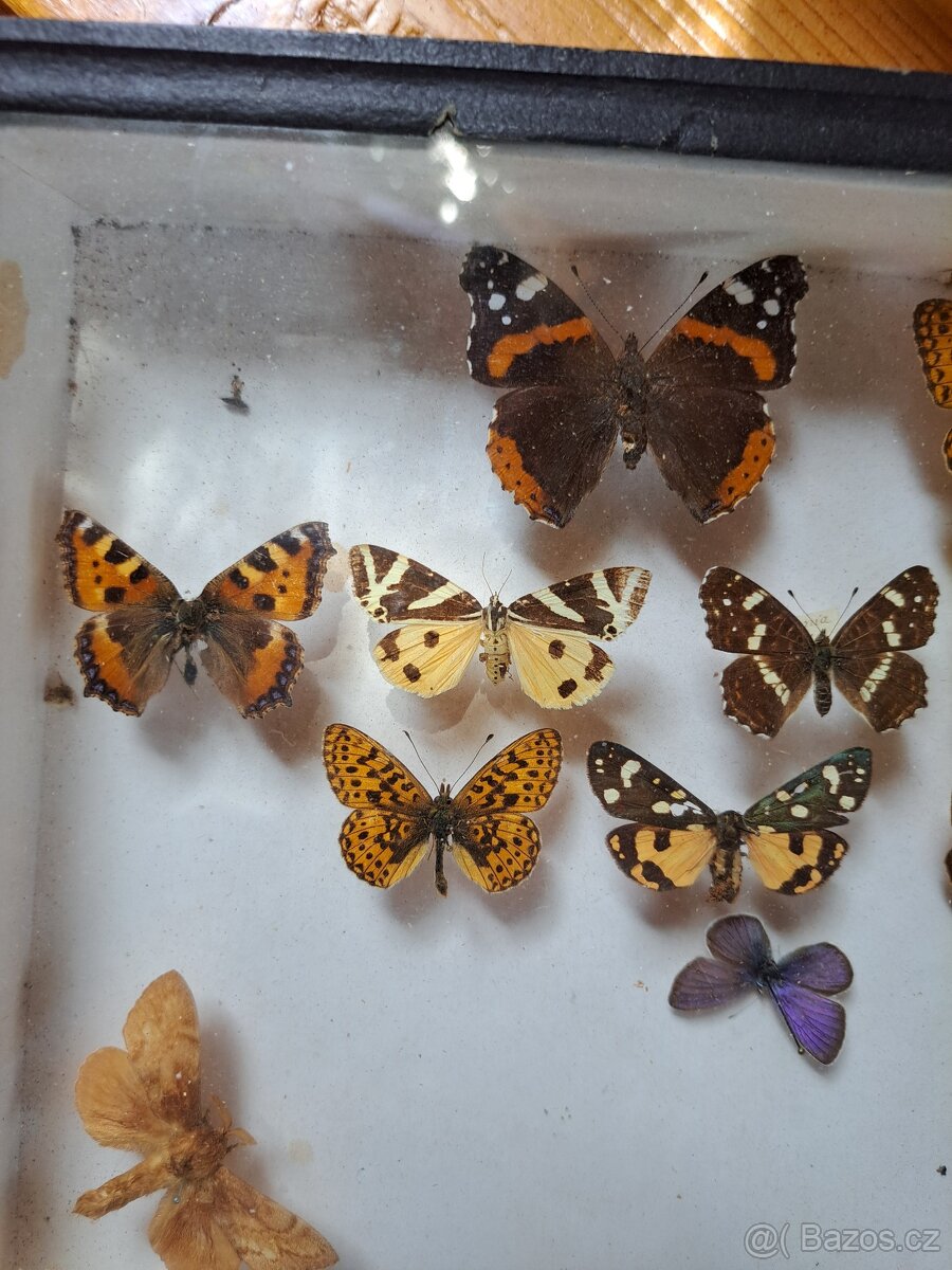 Zbierka M O T Ý Ľ O V. - 2