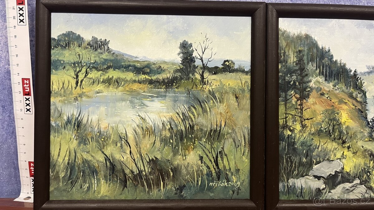 Dva obrazy krajin: Milan Čihák, české krajina/ Šumava. - 2