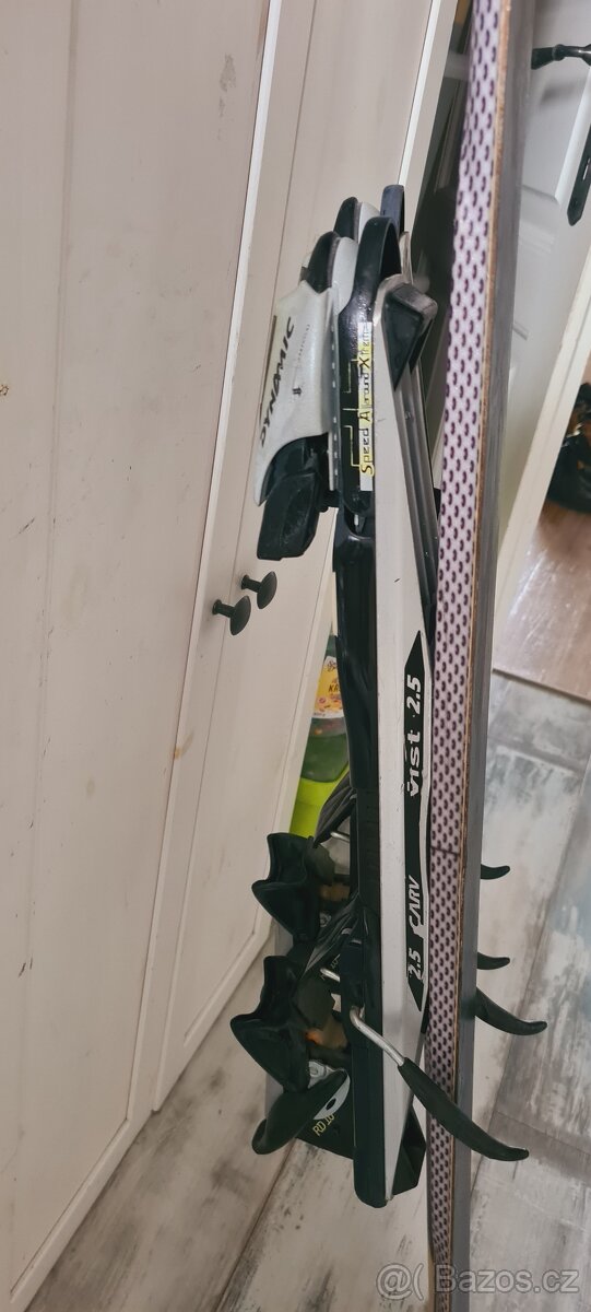 Lyže Dynamic 170 cm - 2