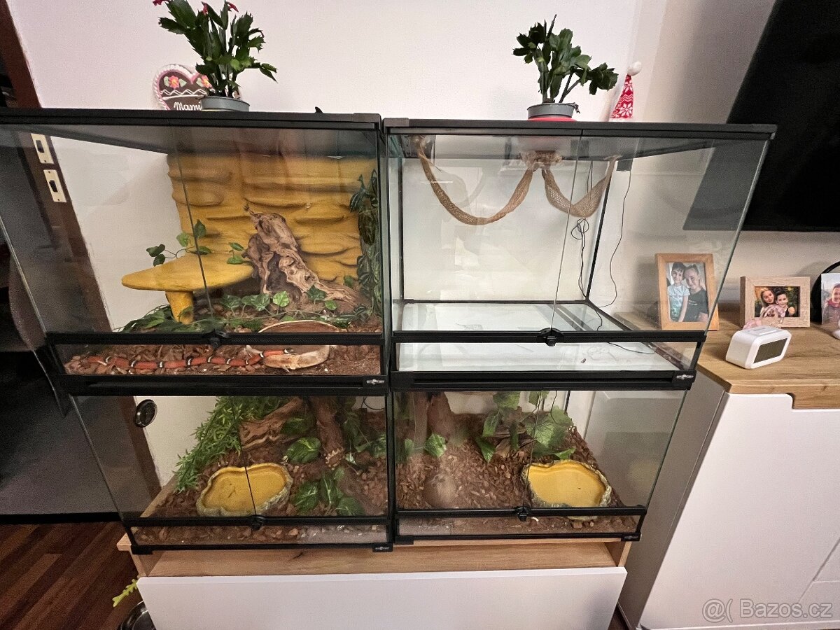 Terárium + hadi - 2