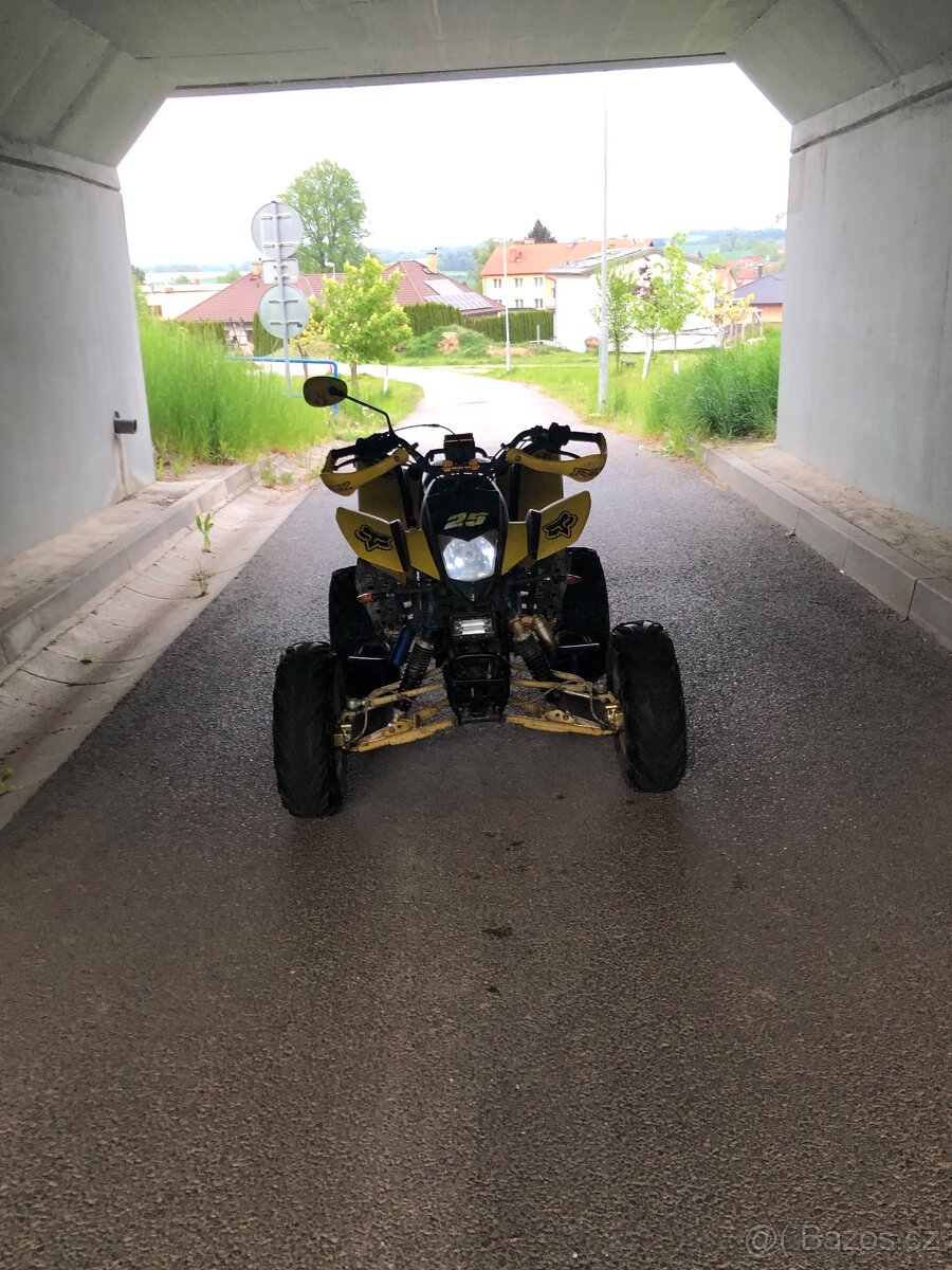 Bashan 250