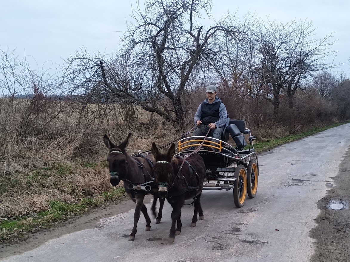 Maratoňák - jednospřeží - 2