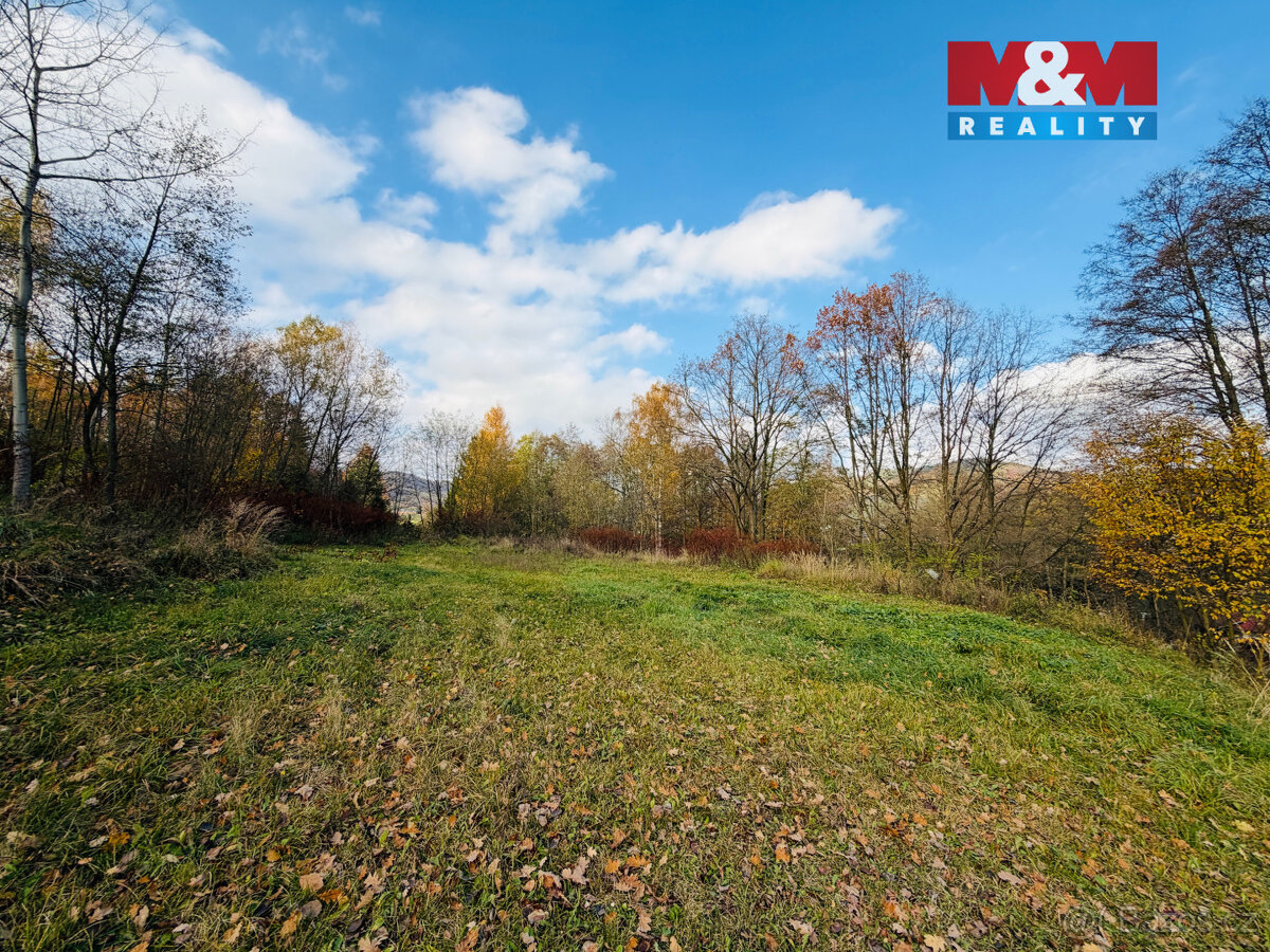 Prodej pole, 5000 m², Šumperk - 2