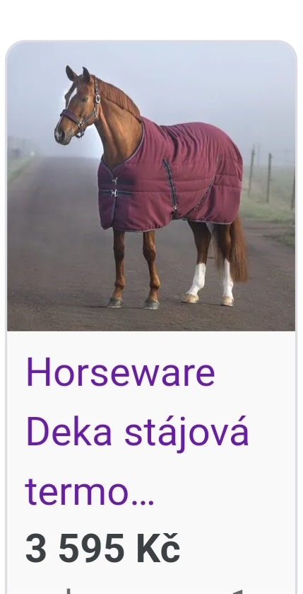 Stájová termodeka 100g-Horseware - 2