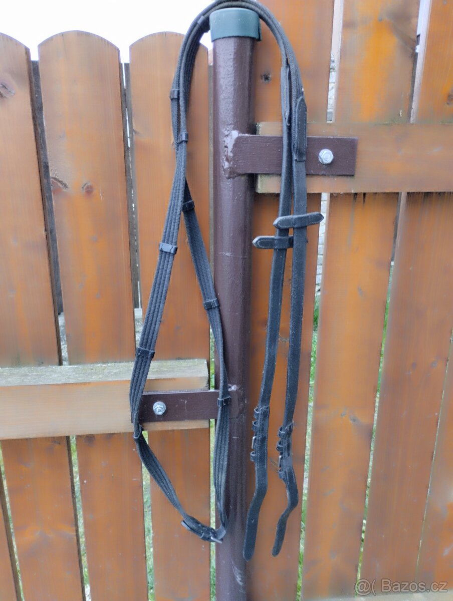 Anglická uzdečka - 2