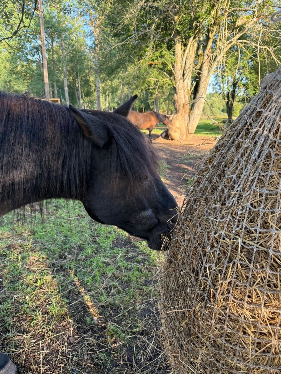 Pastevní ustájení - 2