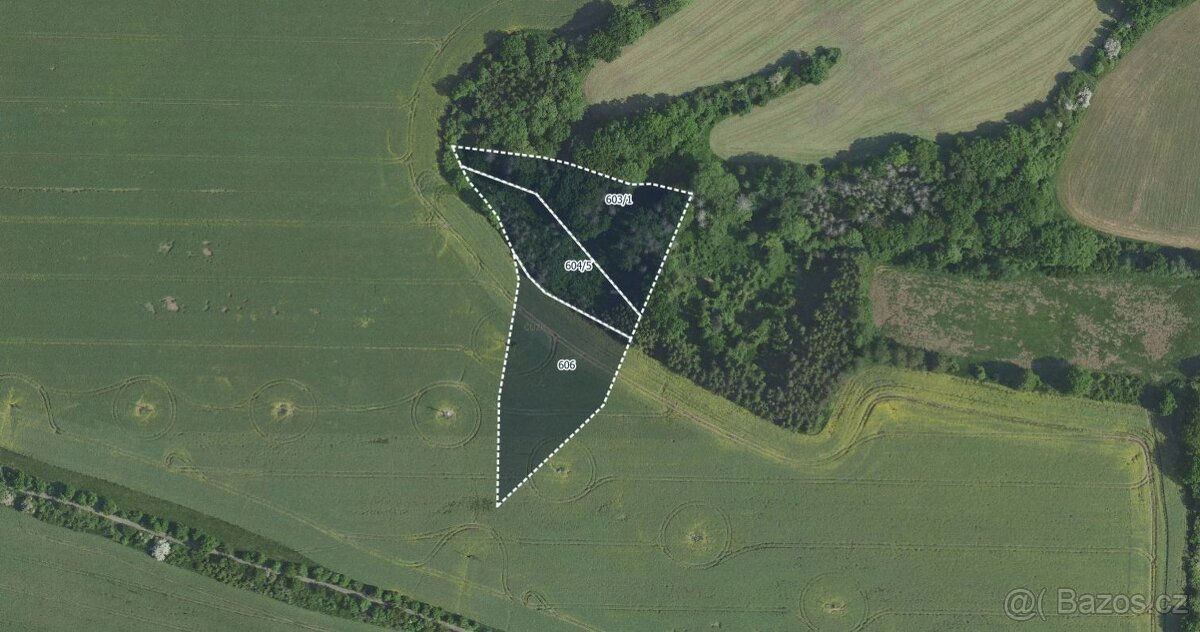 Zemědělská půda, prodej, Výžerky, Praha východ - 2