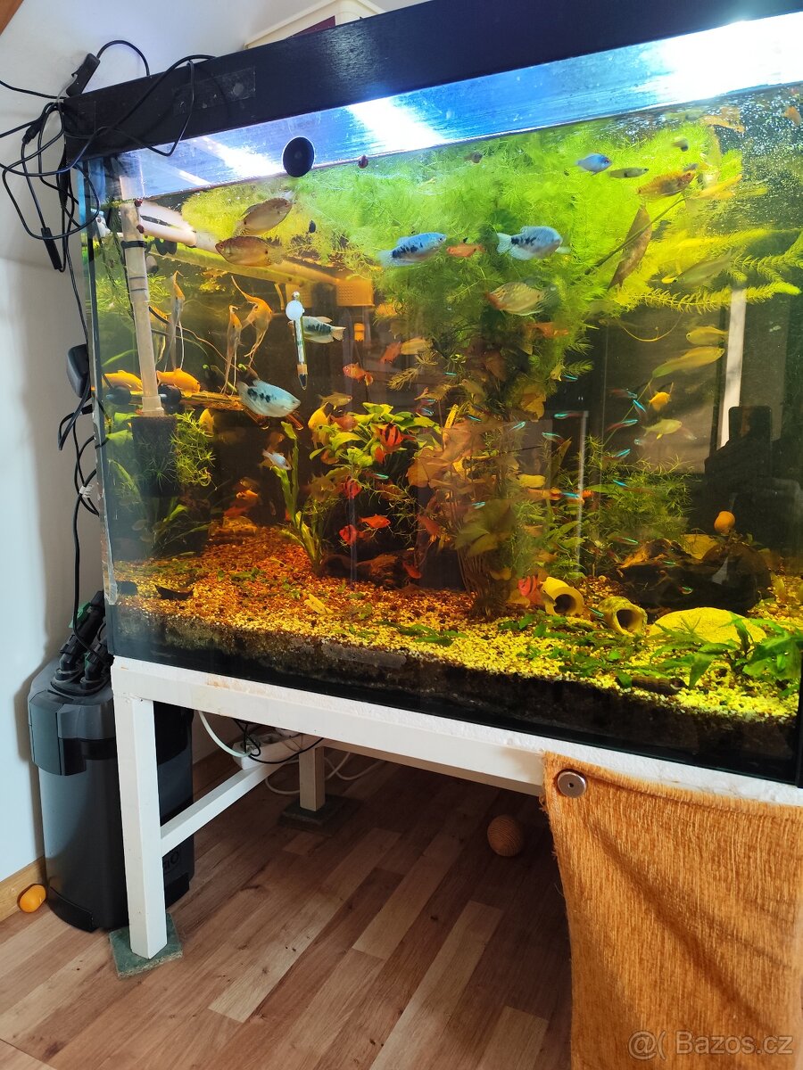 Akvárium 600 litrů - 2