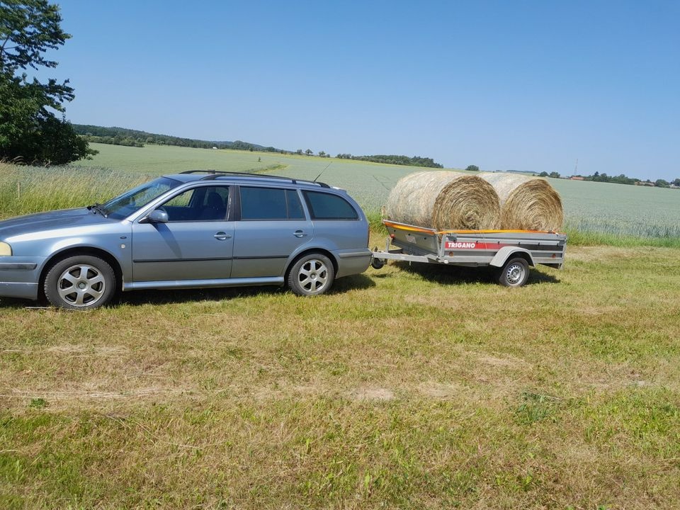Balíky 120 cm, první seč 2025 - 2