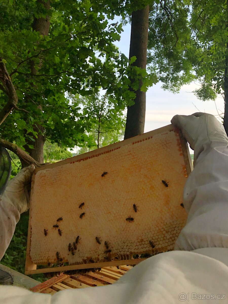 Včelí oddělky 39x24 - Červenec - 2