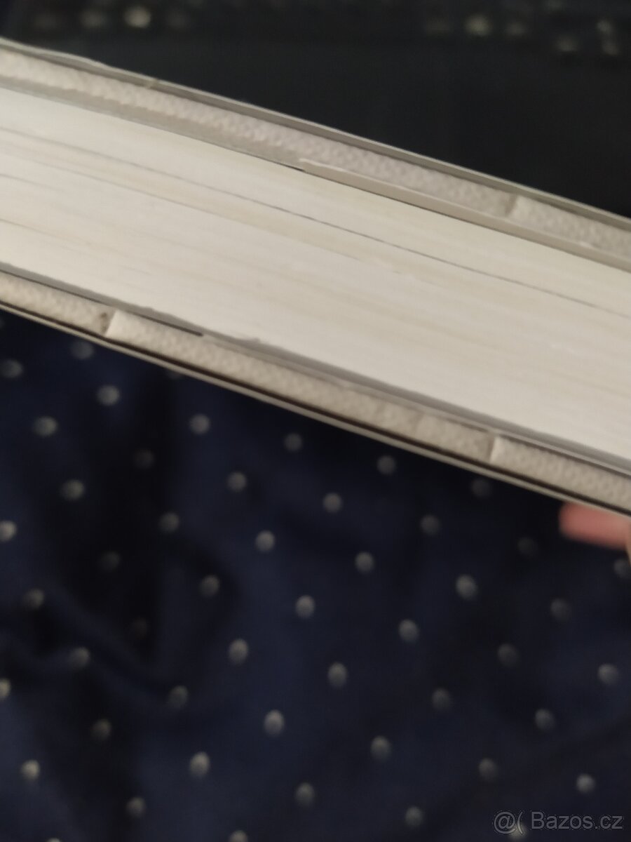 Saturnovy prstence (Sebald) - 2