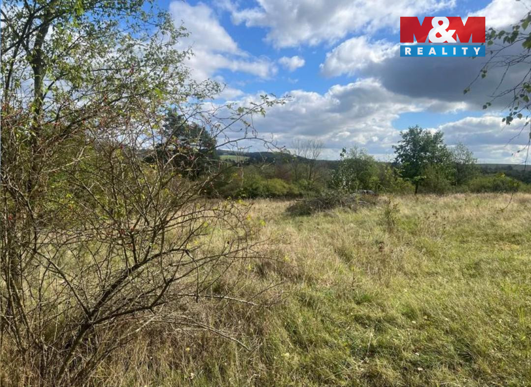 Prodej zahrady, 5897 m², Lešany - 2