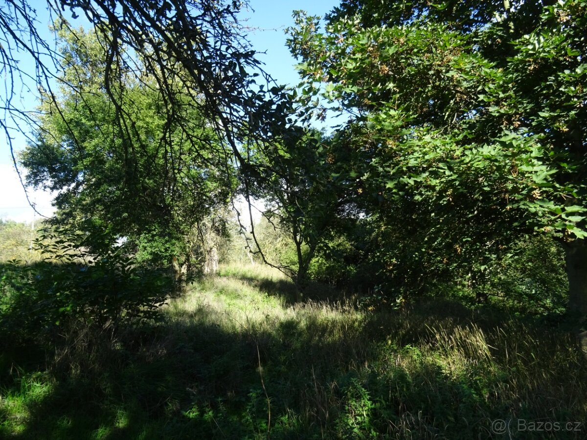 Zahrada - Žatec - 2