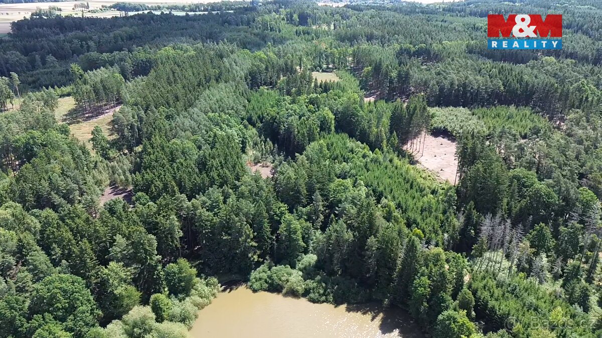 Prodej lesa, 5323 m², Opařany - 2