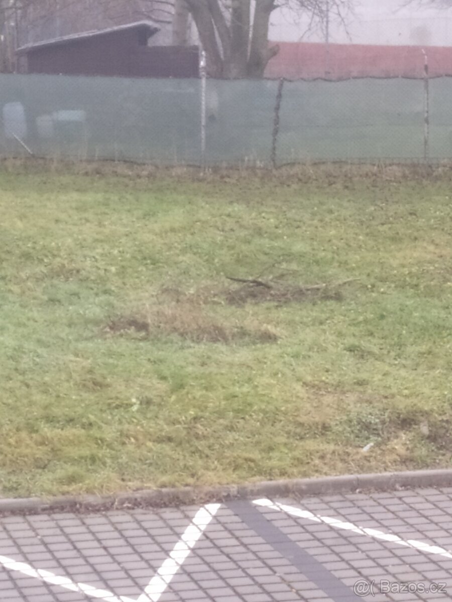 Přenechám zahradu sl.ostrava - 2