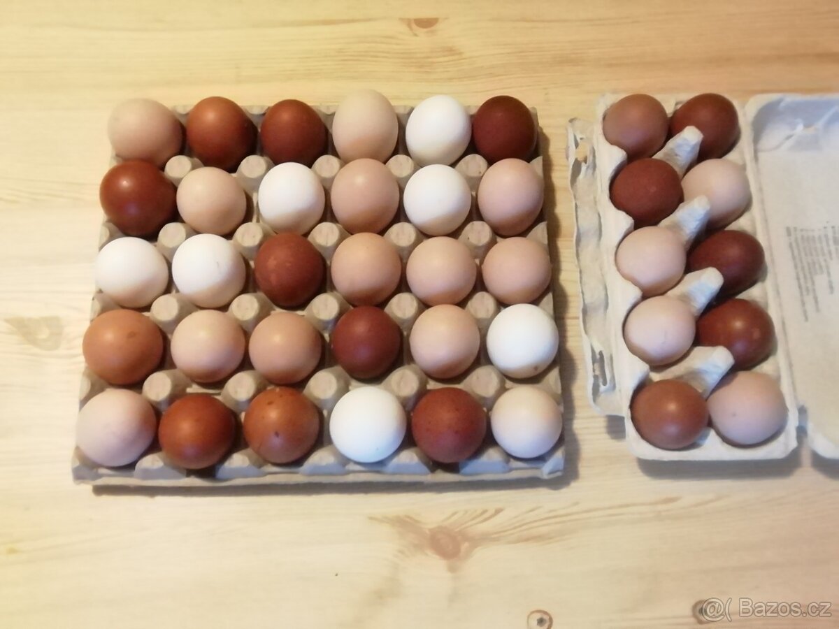 Domácí vejce - 2