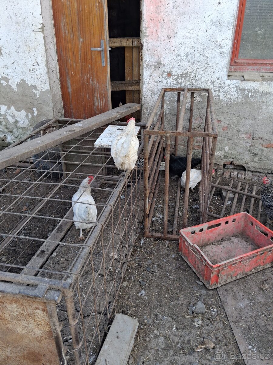 Přepravní klece na domácí zvěř - 2