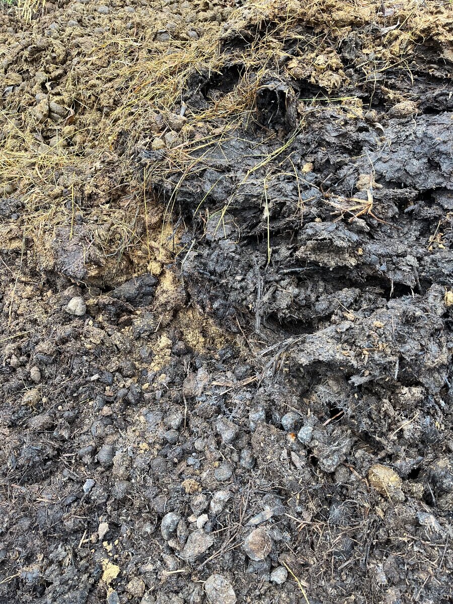 Koňský hnůj zdarma - 2