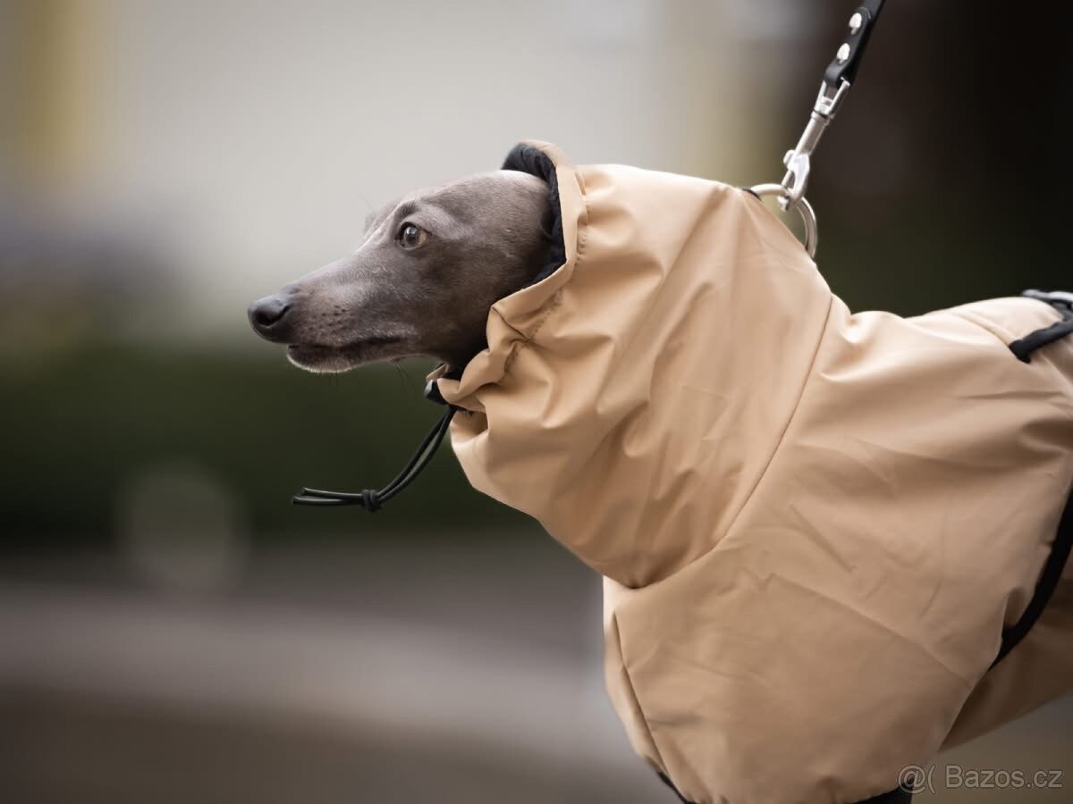 Oblečeni, obojky pro psy - 2