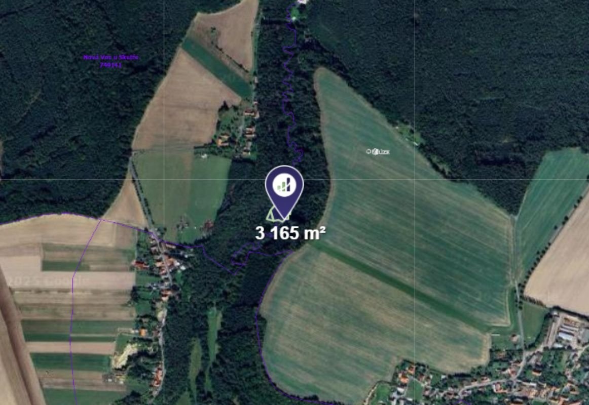 Prodej louky v k.ú. Nová Ves u Skutče - 2